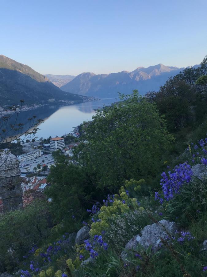 Romantic Rooftop View Hideaway- Old Town Nr 404 Kotor Exterior photo